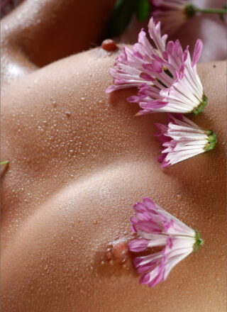 Chantelle From Mpl Studios In Bodyscape: Misty Morning