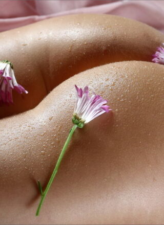 Chantelle From Mpl Studios In Bodyscape: Misty Morning