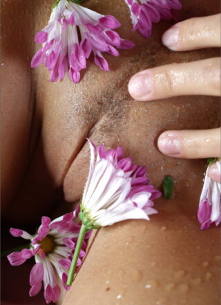 Chantelle From Mpl Studios In Bodyscape: Misty Morning