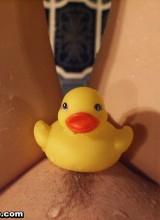 Sexy Pattycake - Ducks And Daisies