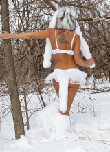 Nikki Sims - Snow Wolf