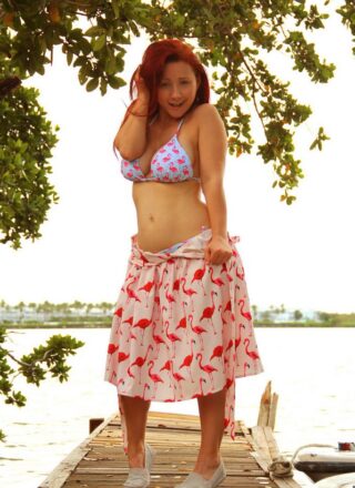 Sexy Pattycake - Falmingo Bikini
