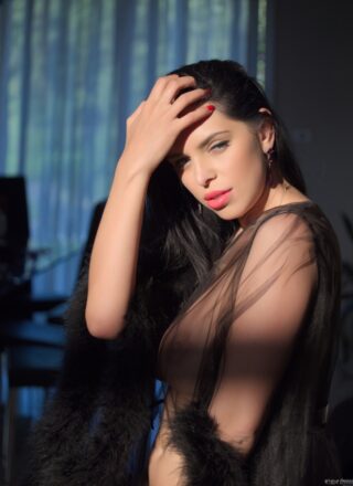 Kira Queen - Under The Ray Of Sun