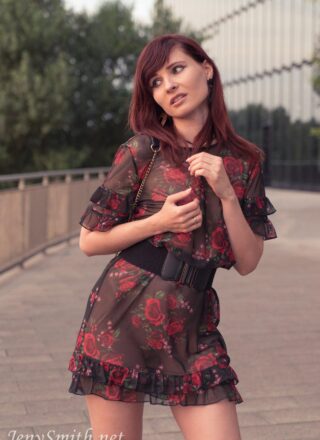 Jeny Smith - Sheer Dress