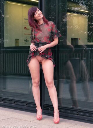 Jeny Smith - Sheer Dress