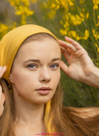 Milena Angel Early Flower 1