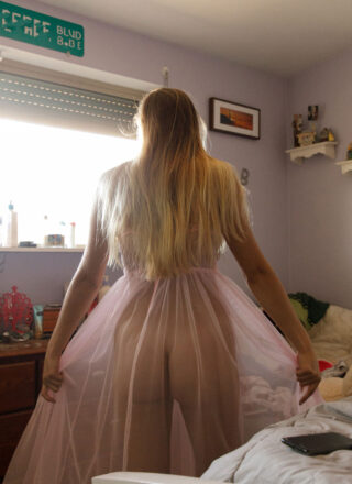 Zishy: Brandy Gila Sheer Nightie 10