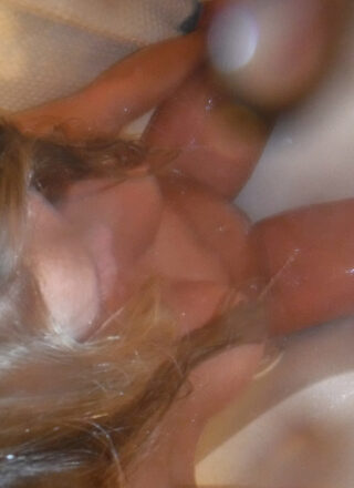 Meet Madden - Landing Strip 10