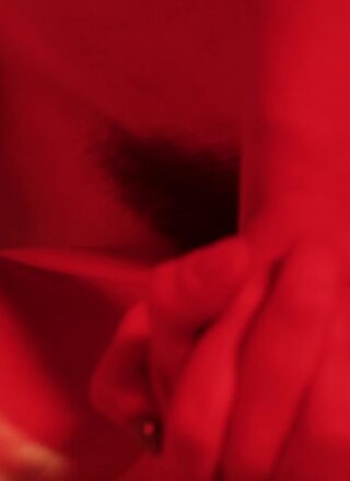 Lilly Bell - 6