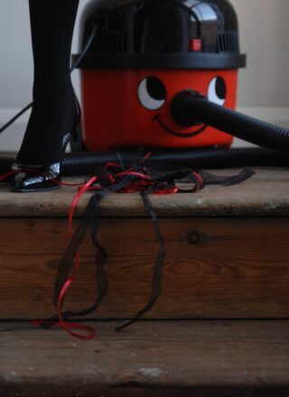 Hayleys Secrets: Hayley Marie Coppin - Henry The Hoover 12