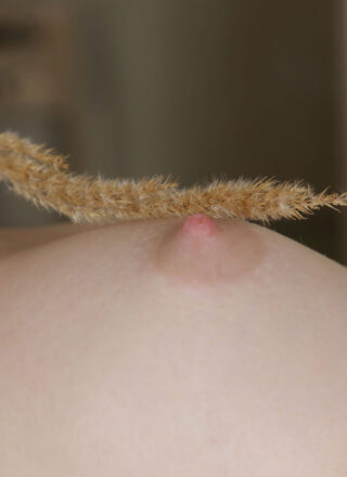Sex Art: Foxy Sofilie Takes off her Red Lace 11